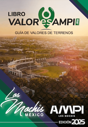 Libro Valores AMPI 2025