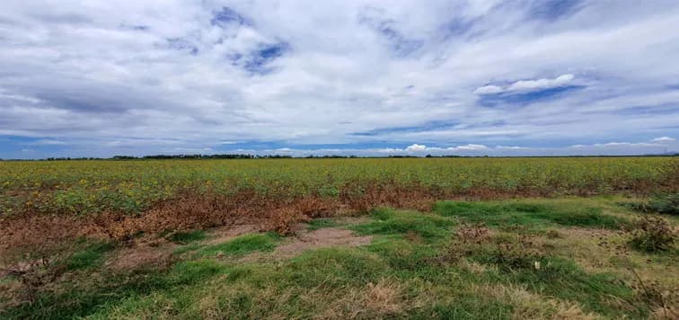 En Venta excelente Predio Agrícola, San Miguel Zapotitlán.