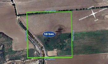 9_2455 | 10 hectareas uso agricola  Zaratajoa Bacahui, Guasave, Sinaloa | GM Inmobiliaria