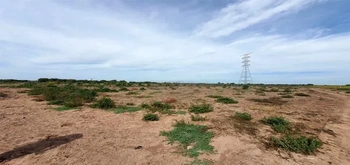 13_3124 | En Venta muy Amplio Predio Agrícola, Ejido Mochis. | GM Inmobiliaria