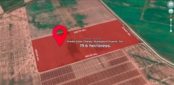 13_1687 | En Venta excelente Predio Agrícola, Charay, Municipio El Fuerte, Sinaloa. | GM Inmobiliaria